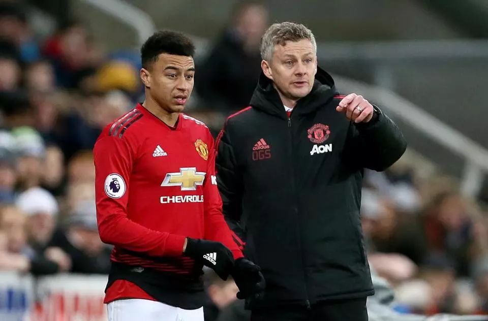 激发了无数 激发了无数